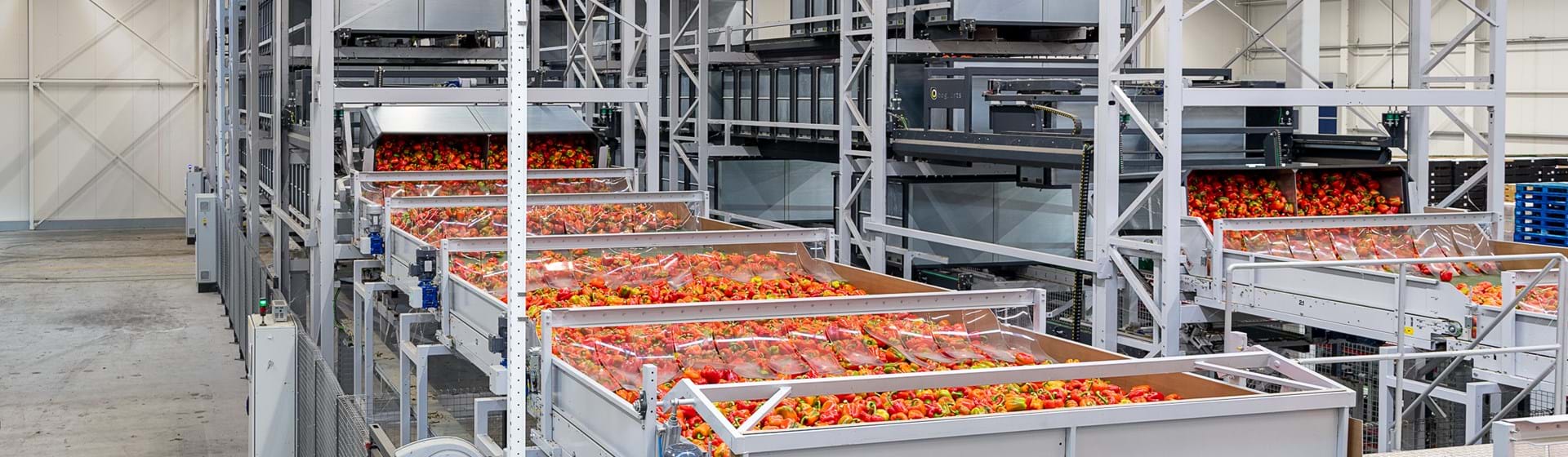 Wkk: Een Toekomstgerichte Benadering